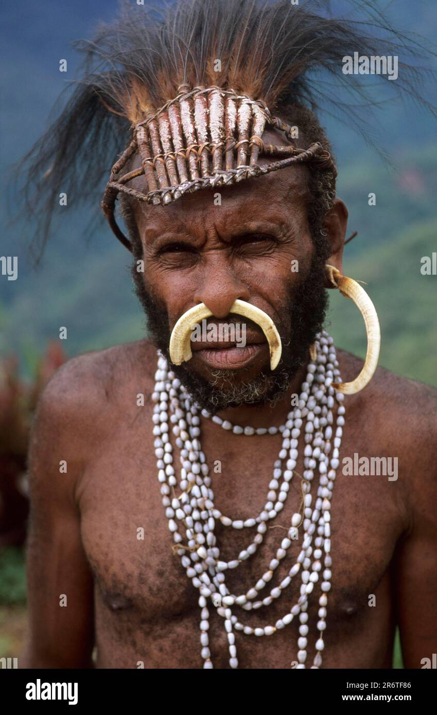 Yali-Mann mit Nasenschmuck aus Wildschweinknochen und Kopfschmuck, West-Papua, West-Neuguinea, Irian-Jaya, Indonesien Stockfoto