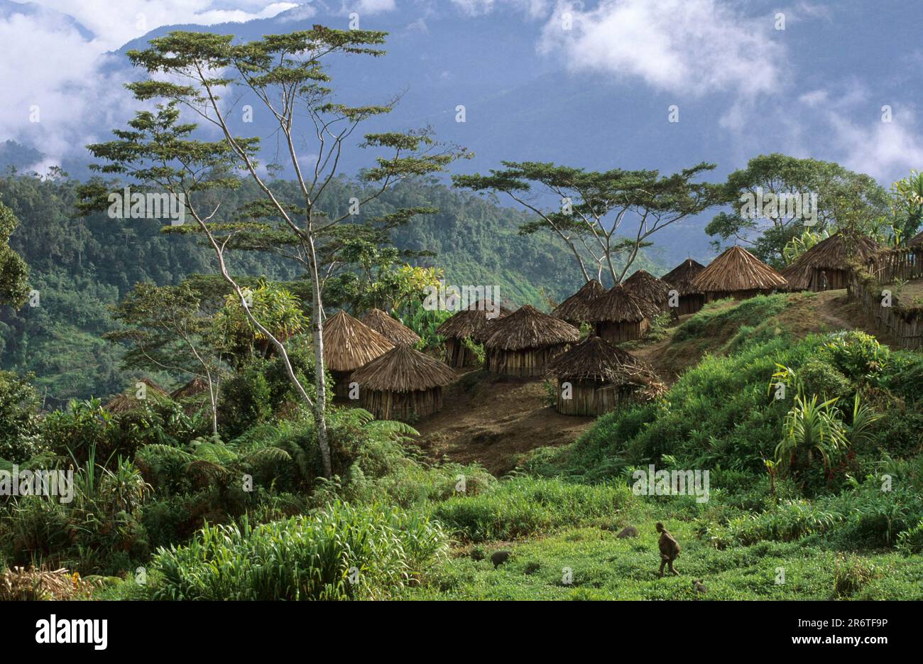 Serkasi, Yali Village, West Papua, West-Neuguinea, Irian-Jaya, Indonesien Stockfoto