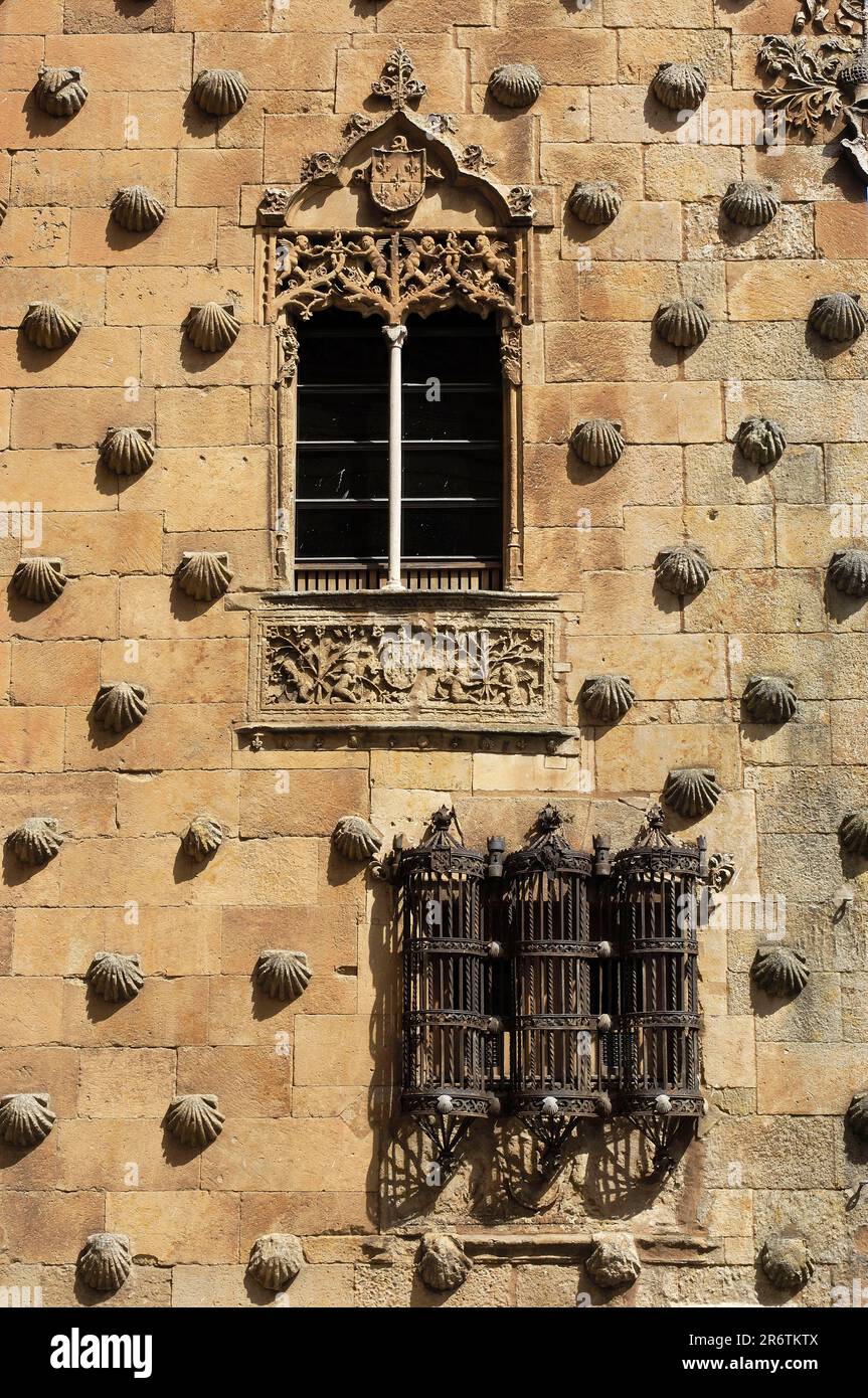 Hausfront mit Muscheln, Haus der Muscheln, Casa de las Conchas, Salamanca, Castilla y Leon, Spanien Stockfoto