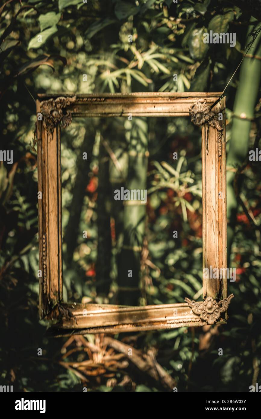 Ein Holzrahmen hängt inmitten des Waldes, ein ruhiges Portal zur Schönheit der Natur, das Ruhe und Besinnung in der ruhigen Umgebung einlädt Stockfoto