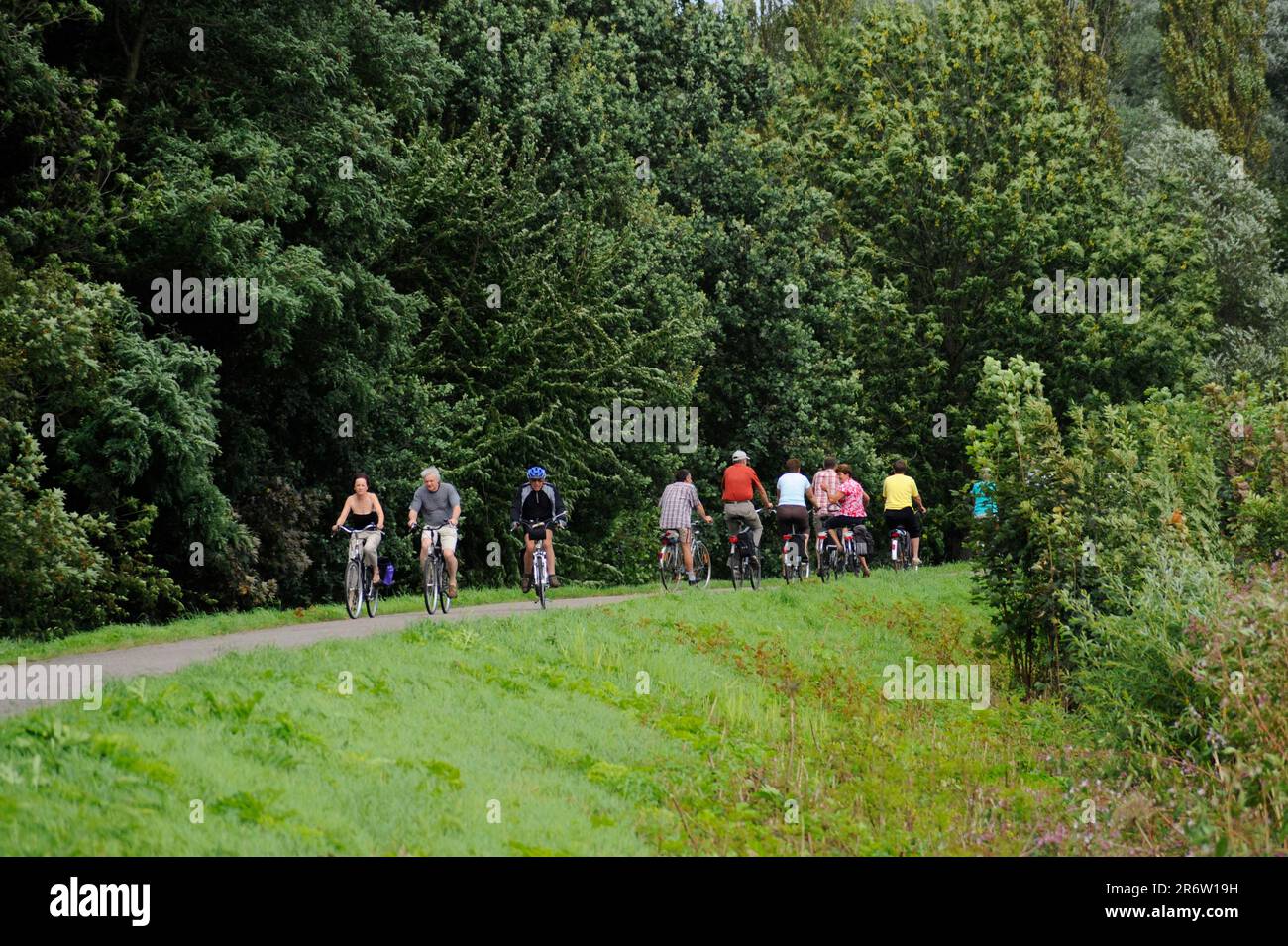 Radfahrer auf Radweg, Dilsen-Stokkem, Limburg, Flandern, Belgien Stockfoto