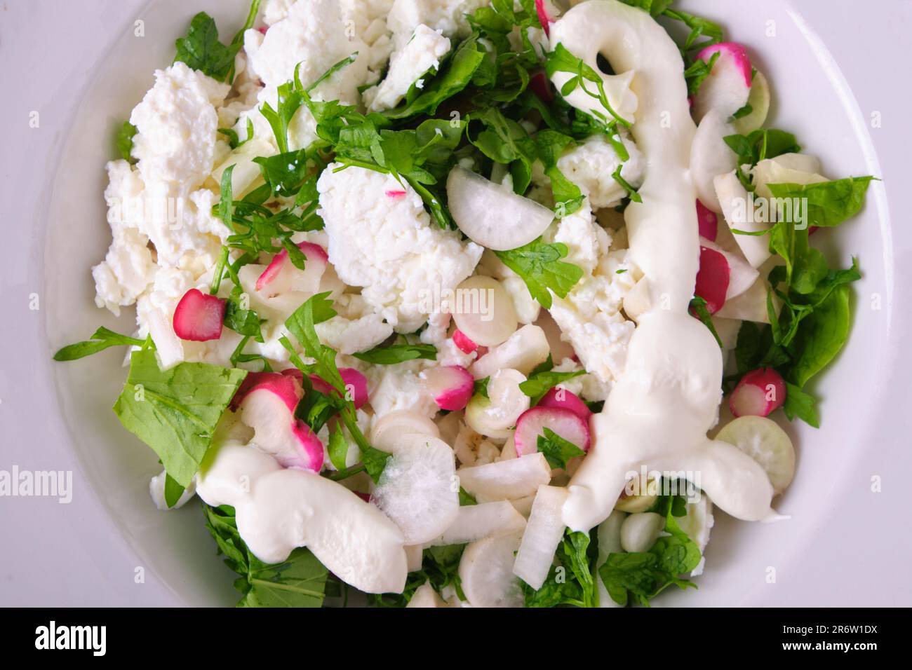 Gemüsesalat aus dem Garten. Brunnenkresse-Salat und weiße und rote ...