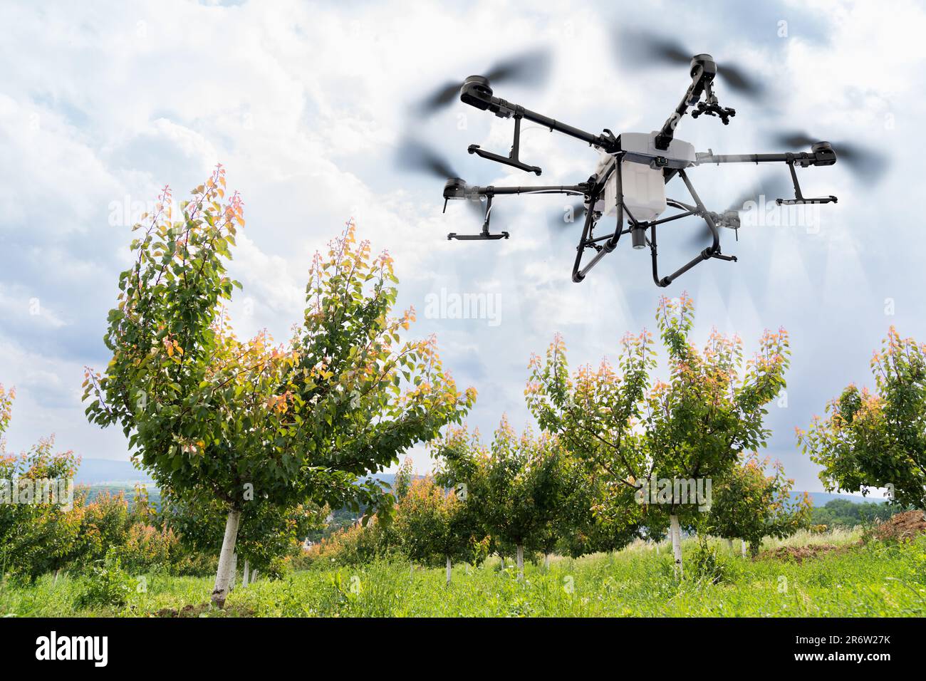 Drohnensprühgerät fliegt über Apfelbäume. Intelligente Landwirtschaft und Präzisionslandwirtschaft Stockfoto