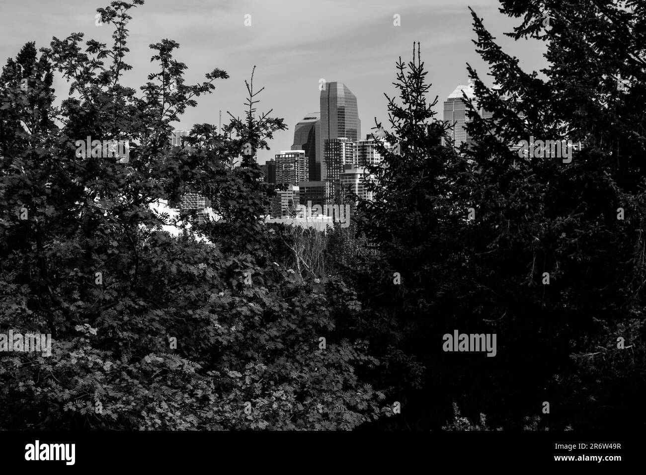 Stadtlandschaft Stockfoto