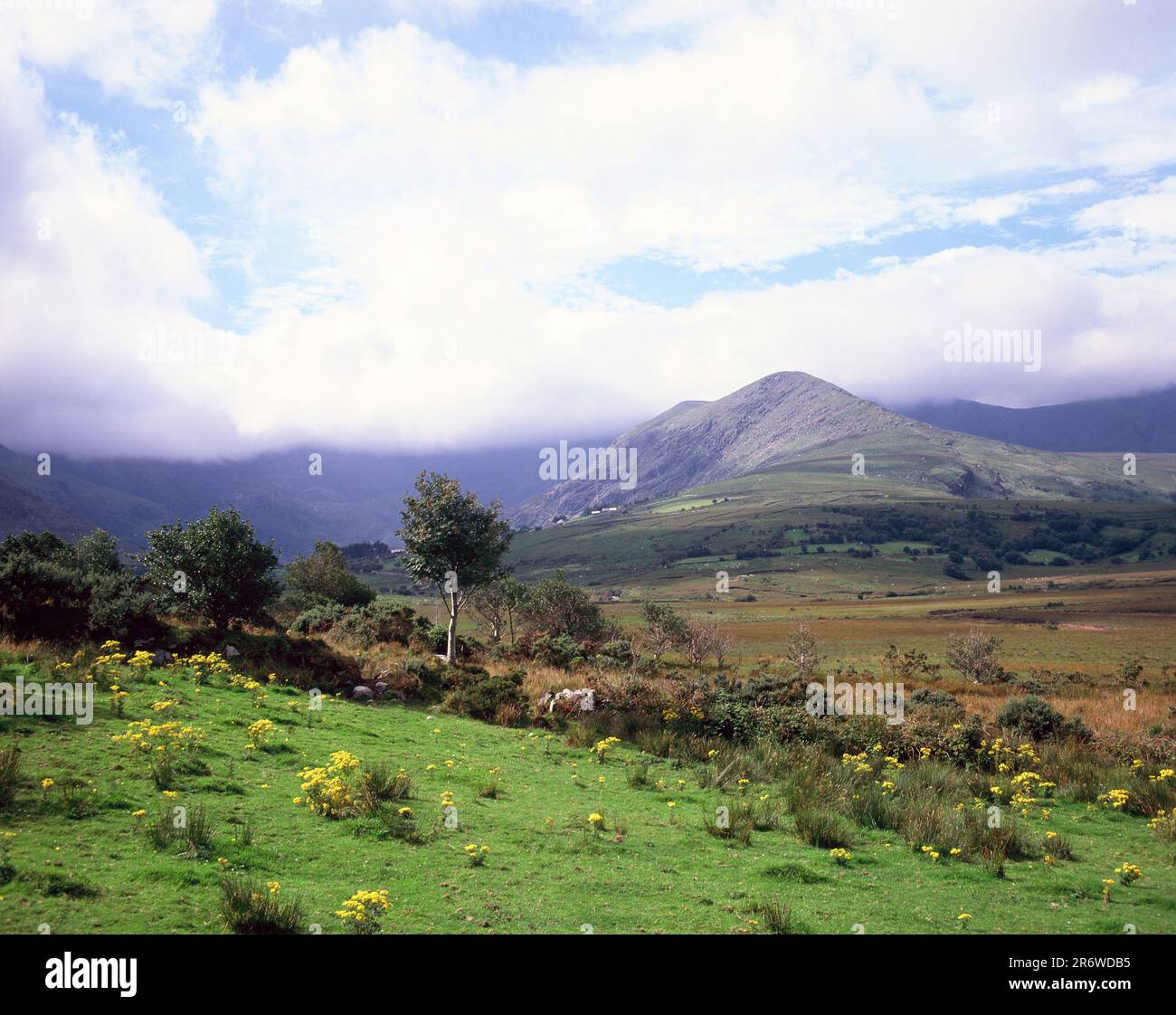 Irland. County Kerry. Blick vom Coomaglaslaw Lake in Richtung Berge. Stockfoto