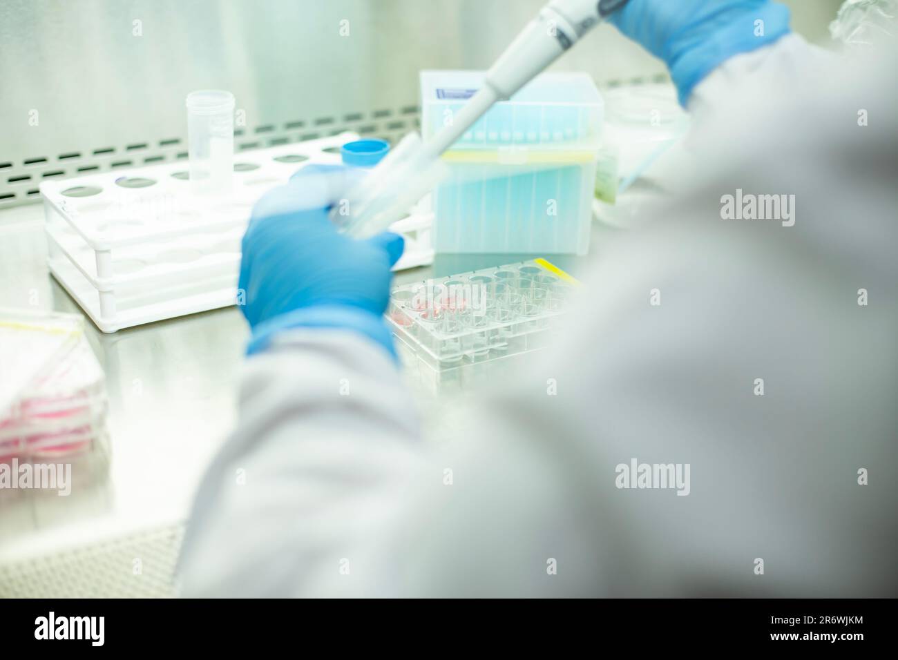 Medizin und medizinische Laboratoriumszellkultur im Sicherheitsschrank Stockfoto