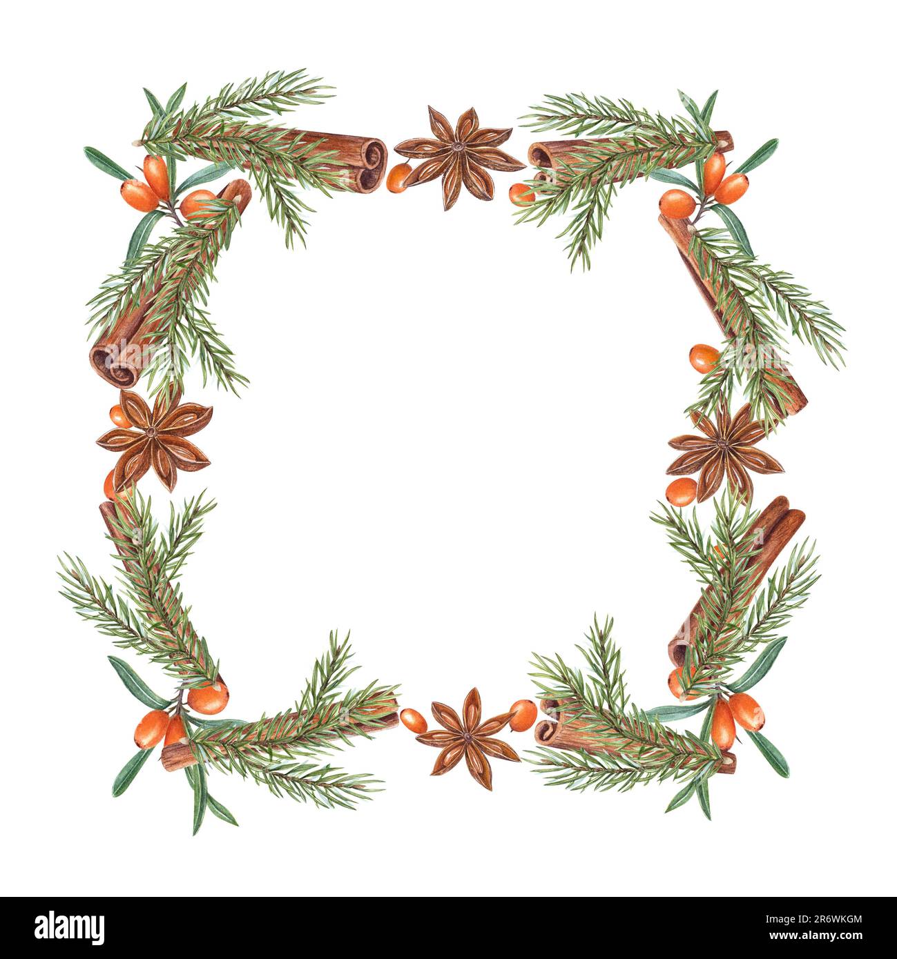 Aquarell mit Weihnachtsbaum, Zimt, Sternanis, Sanddorn isoliert auf weiß. Weihnachtsabbildung von grünem Baum, Orangenbeeren Stockfoto