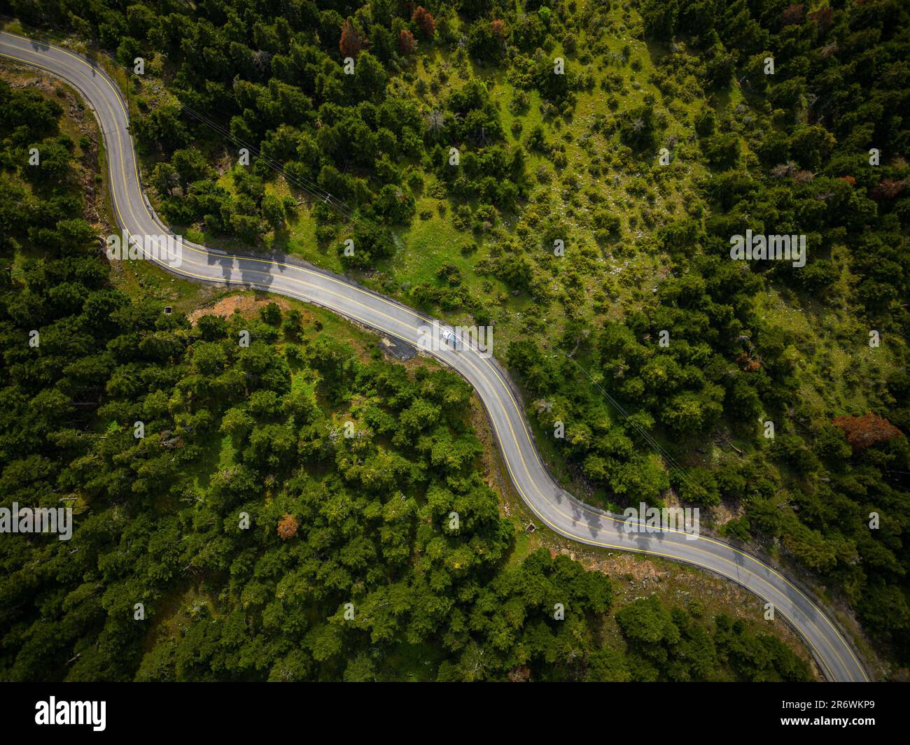 Luftaufnahme eines Geländewagens mit Allradantrieb und Dachzelt auf der Straße, die sich durch grünen Wald schlängelt Stockfoto