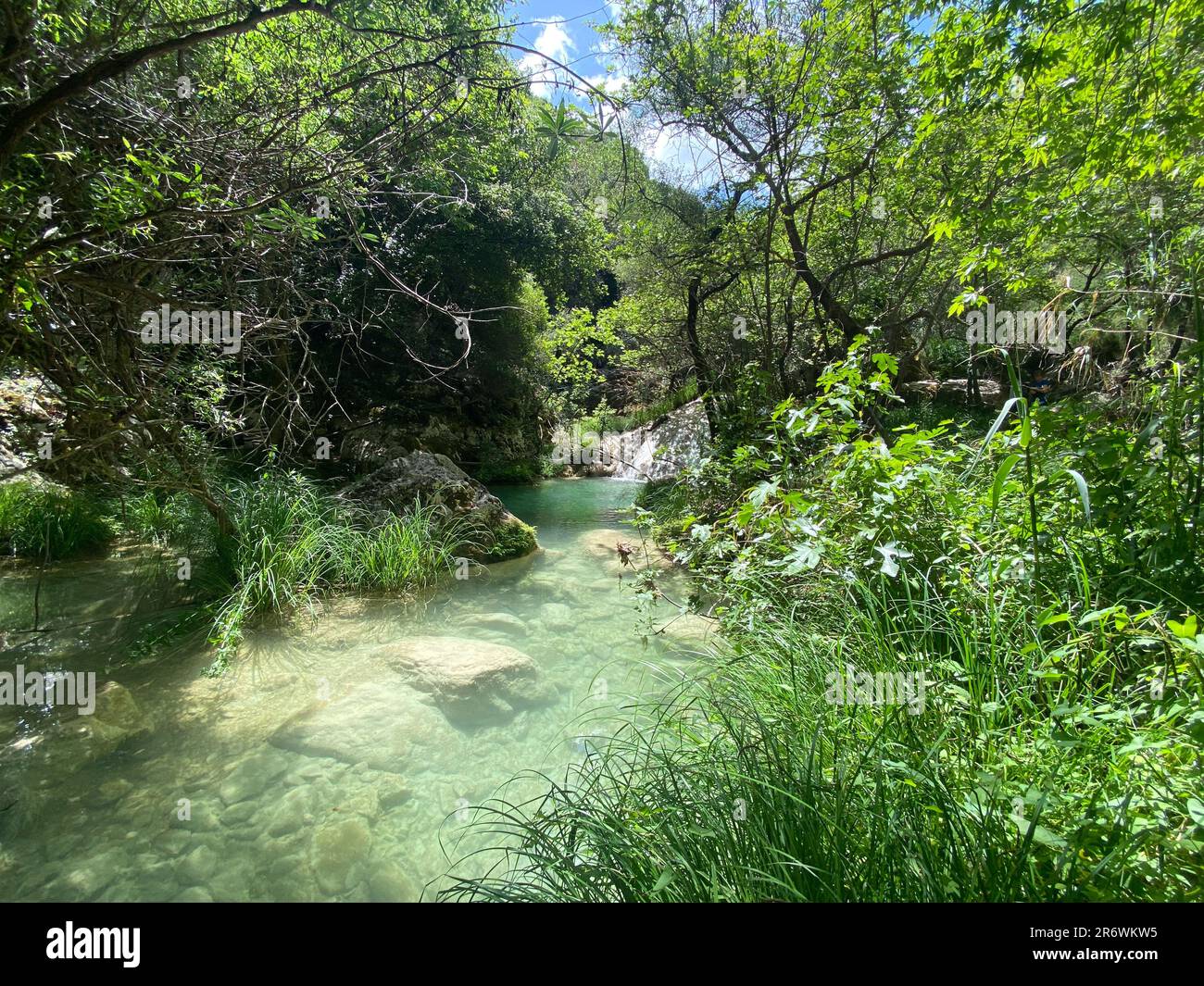 Paradies-Wasserfälle von Polylimnio auf dem Peloponnes in Griechenland mit kristallklarem Wasser und Dschungel-ähnlicher Waldumgebung Stockfoto