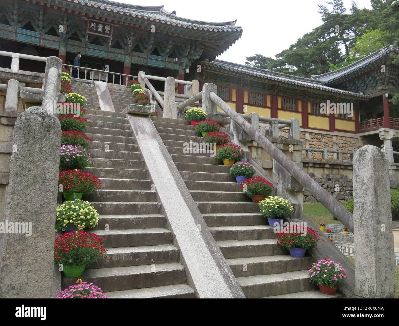 Lotusblume und Seven Treasures Bridge: Die zwei Steintreppen, die zum Anyangmun oder Paradise Gate am buddhistischen Tempelkomplex Bulguksa führen. Stockfoto
