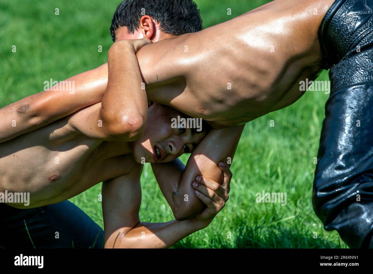 Junge Wrestler kämpfen beim türkischen Öl-Wrestling-Festival in Elß in Turkiye um den Sieg in der Arena. Stockfoto