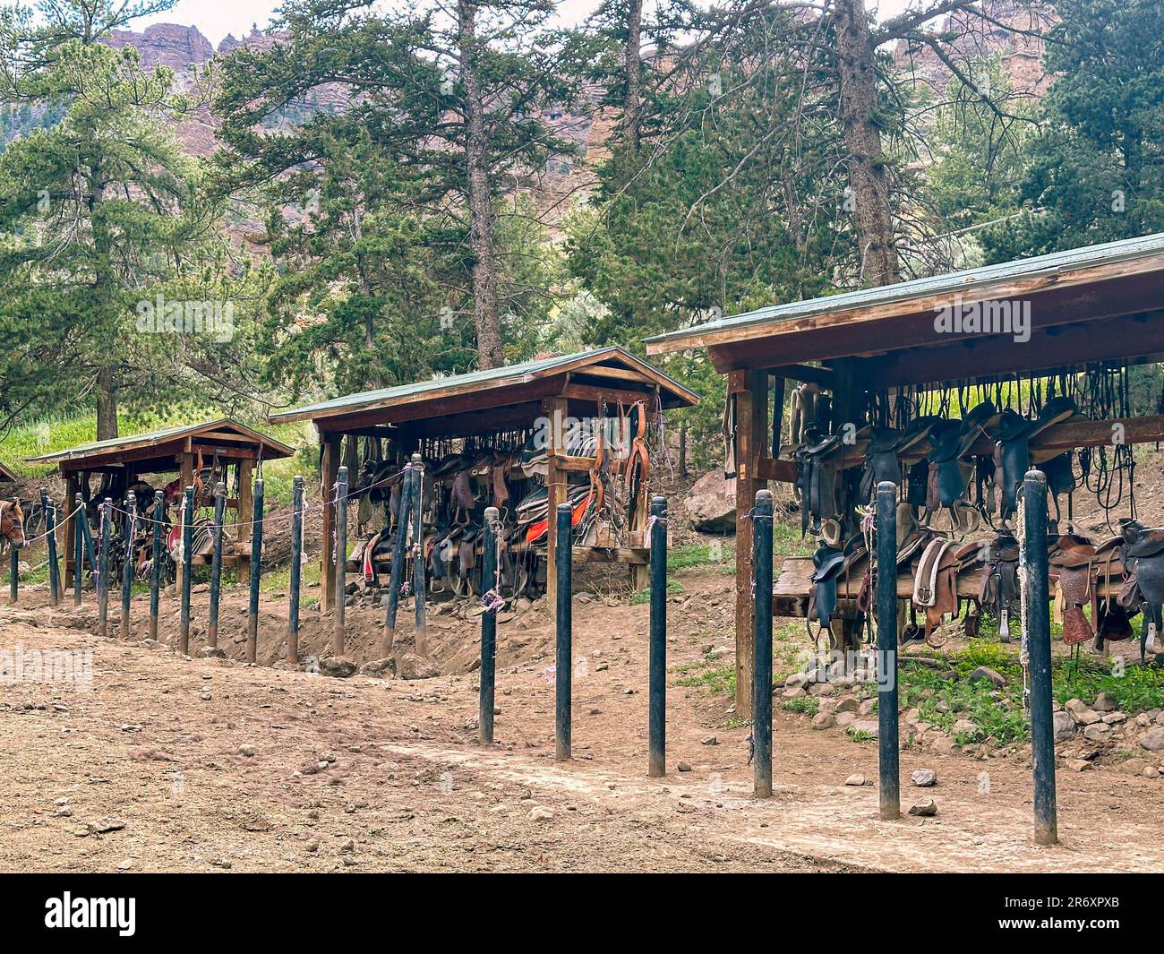 Reiten wird nach einem langen Reisetag im Korral und in den Pferden festgehalten. Die Pflege der Pferde und der Ausrüstung erfordert Organisation. Stockfoto