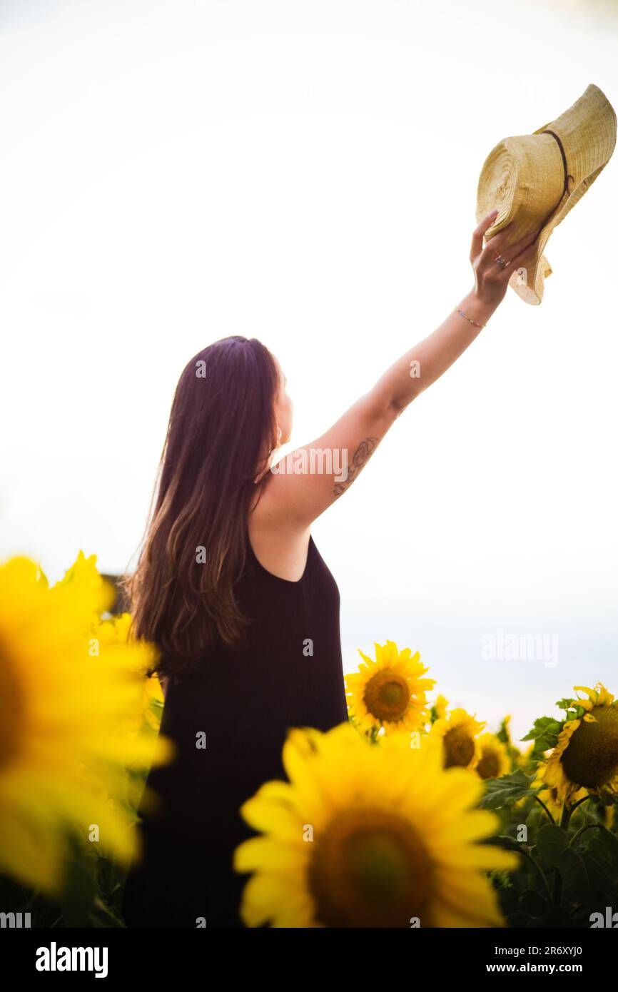 Ensaio fotográfico no campo de Girassóis, Região do PAD/DF - Brasília - Brasilien. Stockfoto