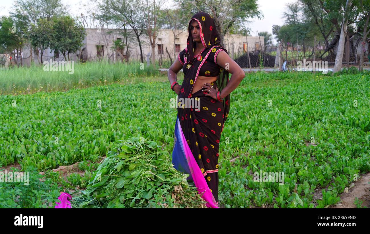 Eine ernsthafte junge Indianerin, die in die Ferne schaut. Schöne Frau steht auf einem grünen Feld in einer ernsten Position. Stockfoto