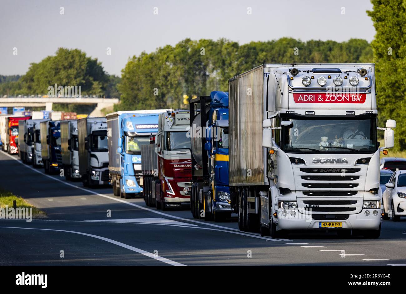 DORDRECHT - Stau auf der A17. Aufgrund der Schließung der Haringvliet-Brücke werden Autofahrer über die A16 umgeleitet. Die Brücke ist für einen Zeitraum von acht Wochen wegen umfangreicher Wartungsarbeiten an der Brücke für den gesamten Verkehr gesperrt. ANP JEFFREY GROENEWEG niederlande raus - belgien raus Stockfoto