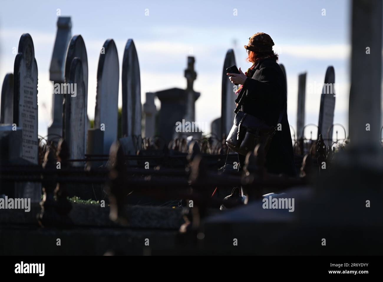 Eine Frau mittleren Alters führt Hunde durch Gräberreihen auf einem Friedhof, während sie an einem klaren Wintertag ein iPhone in der linken Hand hält Stockfoto