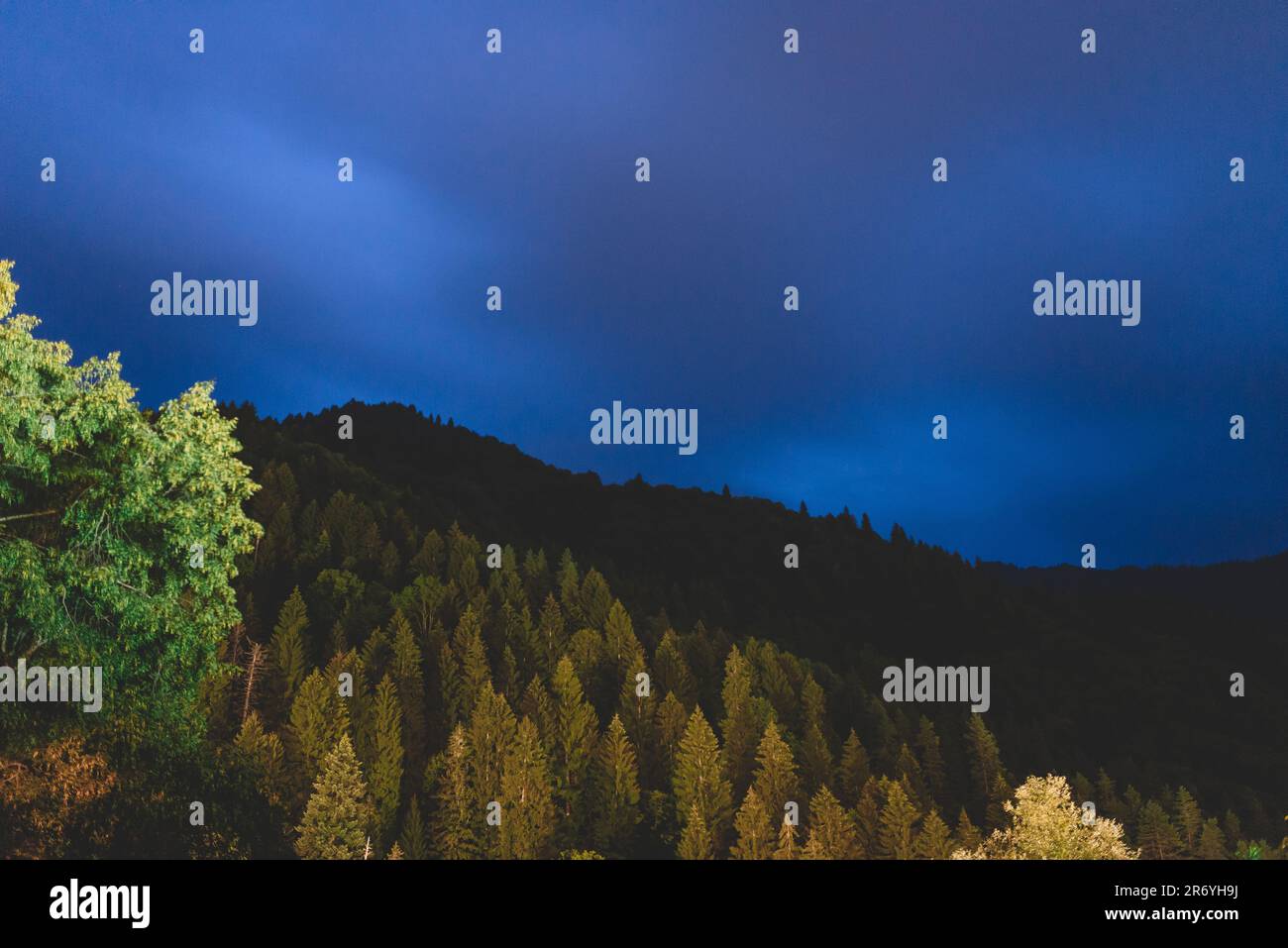 Blitze im Bergwald Stockfoto