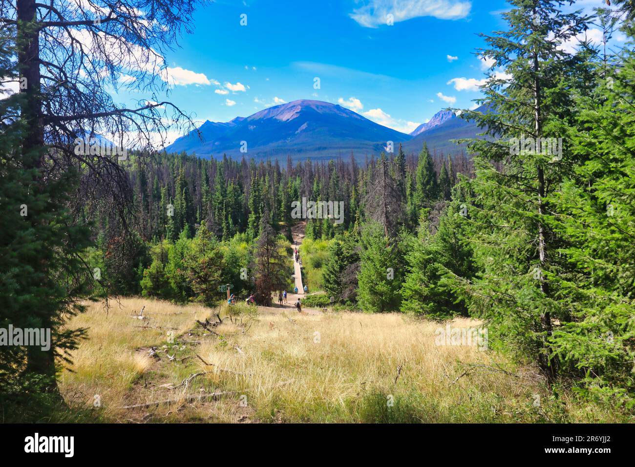Wanderwege in der Region Valley of Five Lakes von Jasper in den Kanadischen rockies Stockfoto