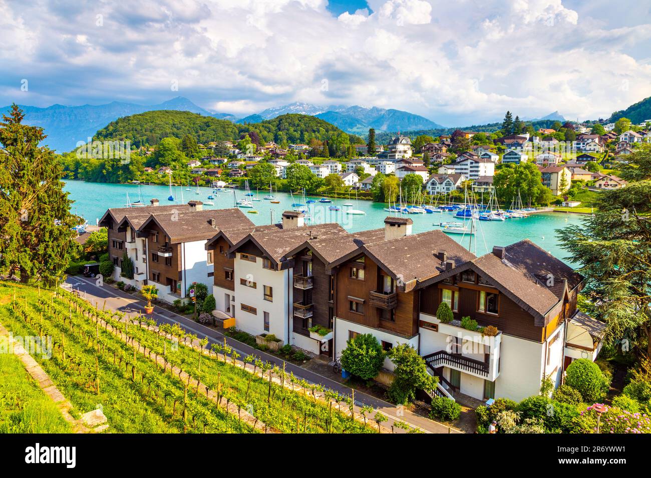 Blick auf den Yachthafen und die Weinberge vom Schloss Spiez, Spiez, Schweiz Stockfoto
