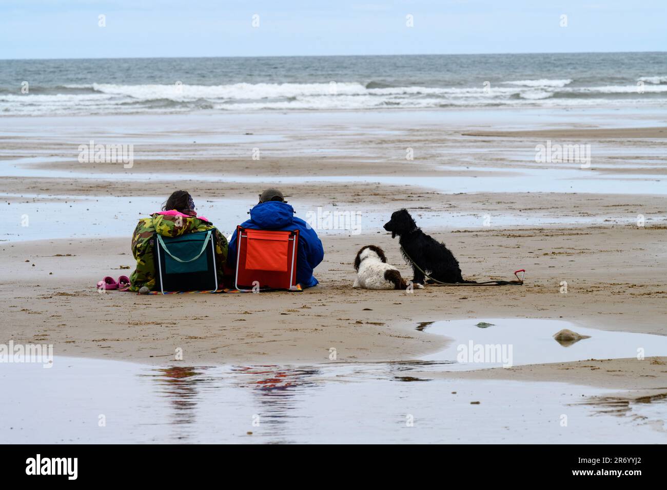 Ein Paar mit Hunden, die auf dem kalten und windigen Saltburn Beach Yorkshire sitzen Stockfoto