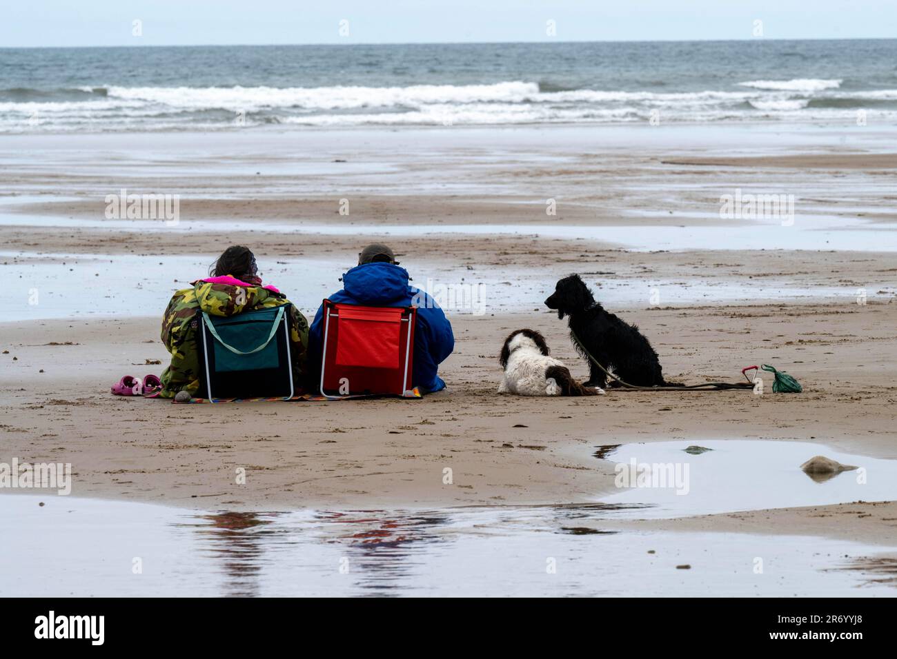 Ein Paar mit Hunden, die auf dem kalten und windigen Saltburn Beach Yorkshire sitzen Stockfoto