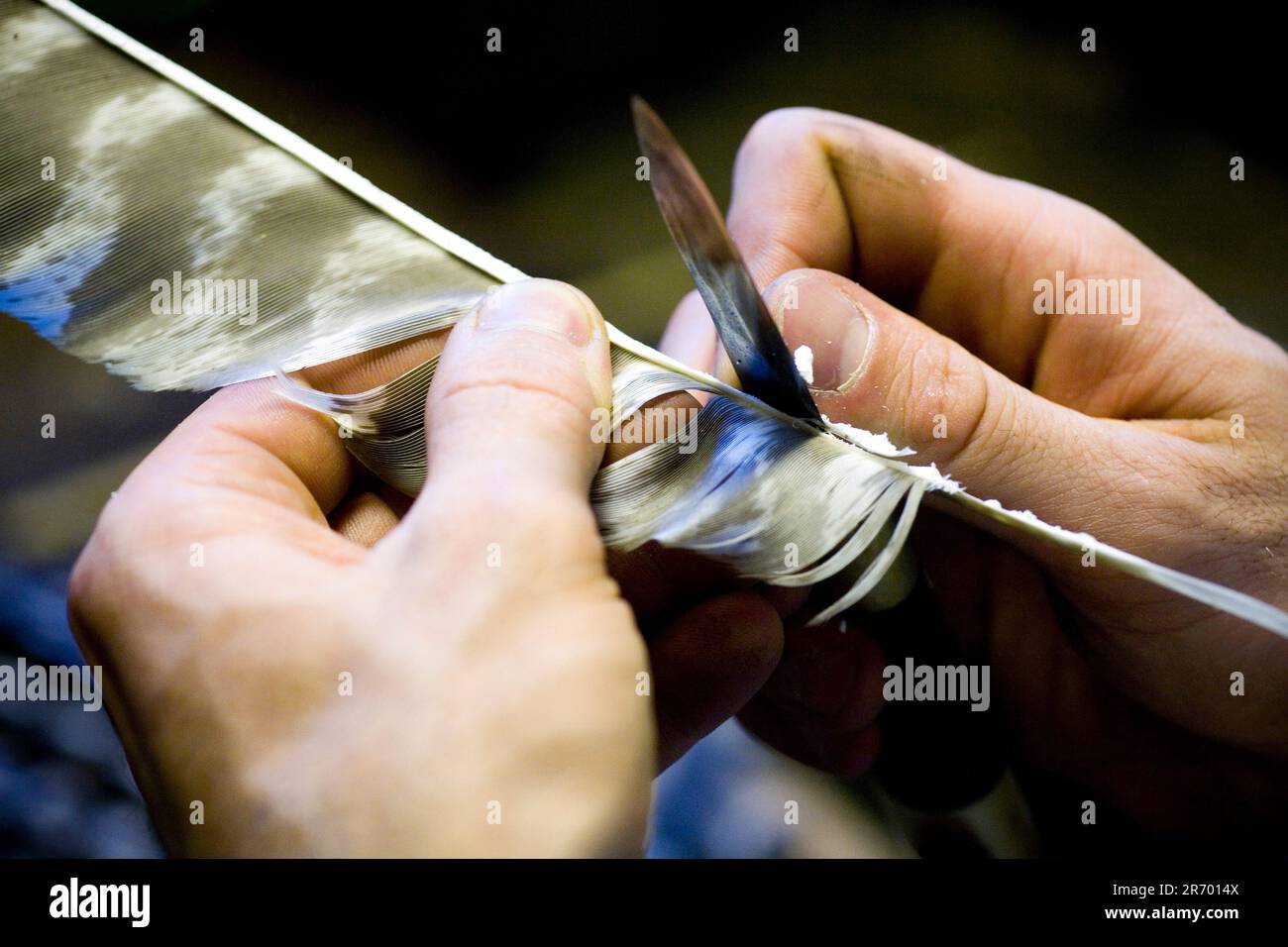 Ein Handwerker schneidet eine truthahnfeder, um in seiner Werkstatt in Lake Pleasant, Massachusetts, Pfeile flitzen zu lassen. Stockfoto