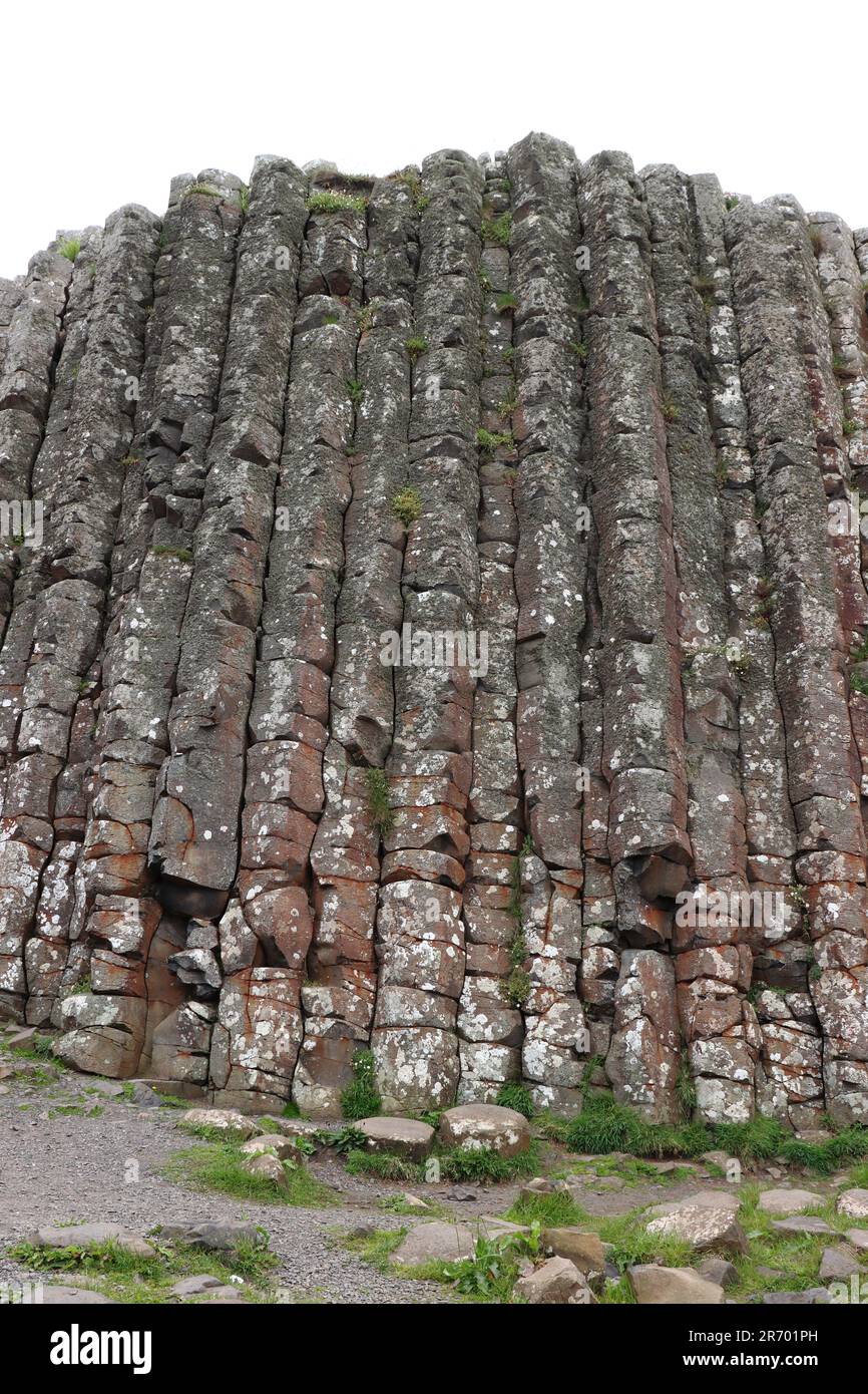 Felsformationen am Giant's Causeway, Country Antrim, Nordirland Stockfoto