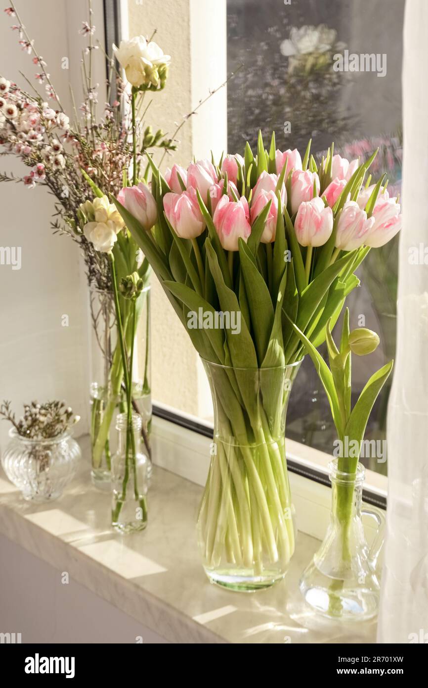 Viele verschiedene Frühlingsblumen und Äste mit Blättern auf Fensterbank im Innenbereich Stockfoto