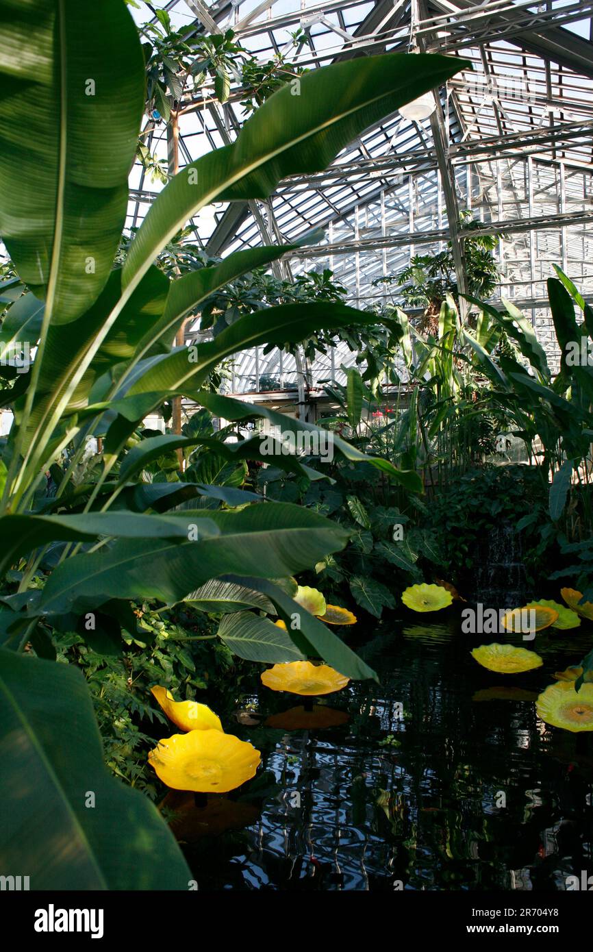 Garfield Park Conservatory Stockfoto