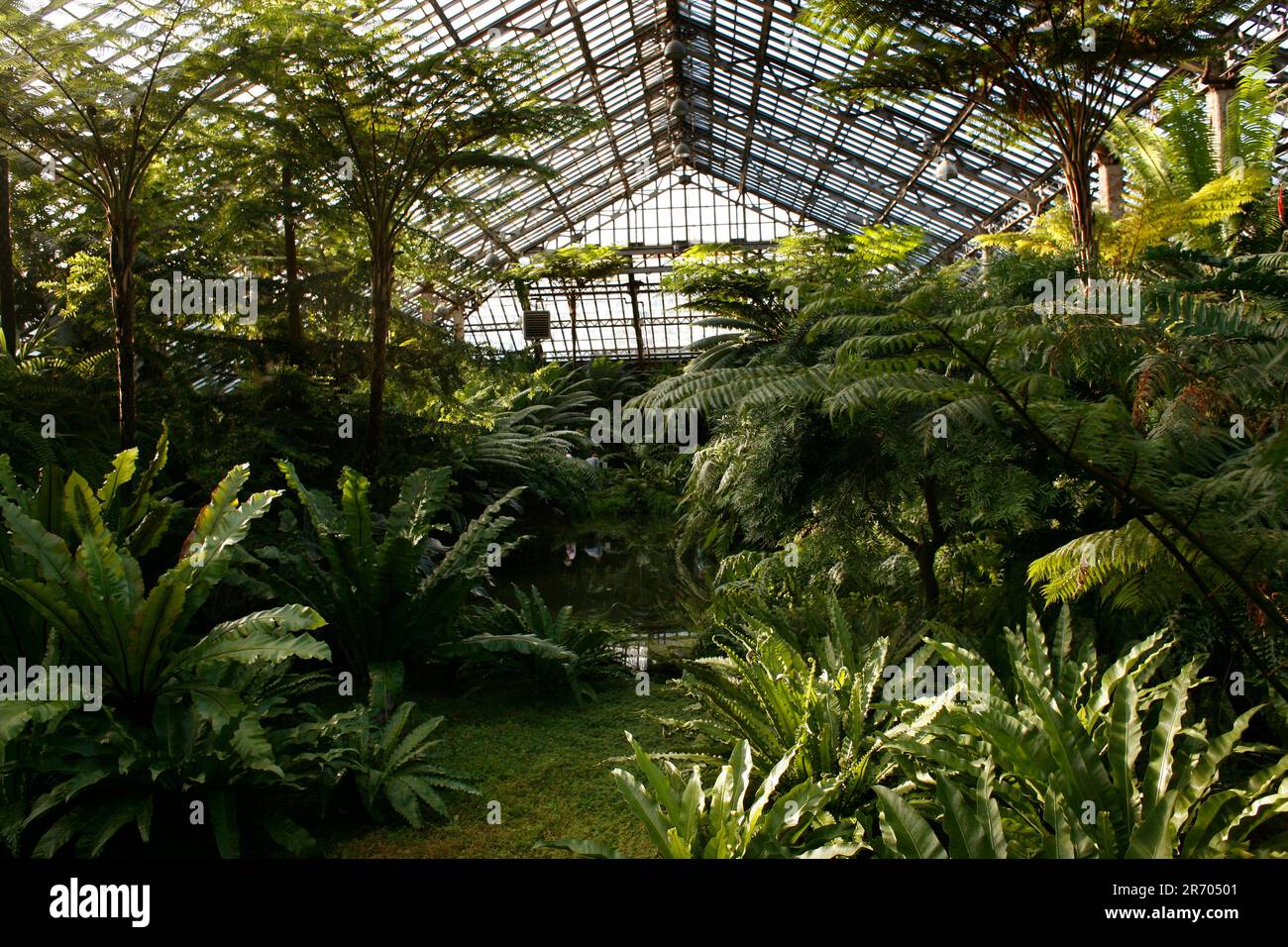 Garfield Park Conservatory Stockfoto