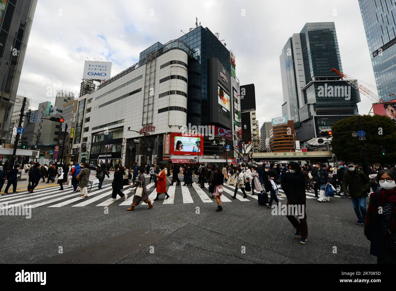 Fußgänger überqueren die Straße in Shibuya, Tokio, Japan. Stockfoto