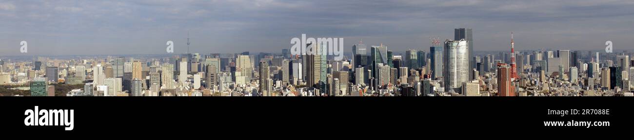 Panoramablick auf die Innenstadt von Tokio, Japan. Stockfoto