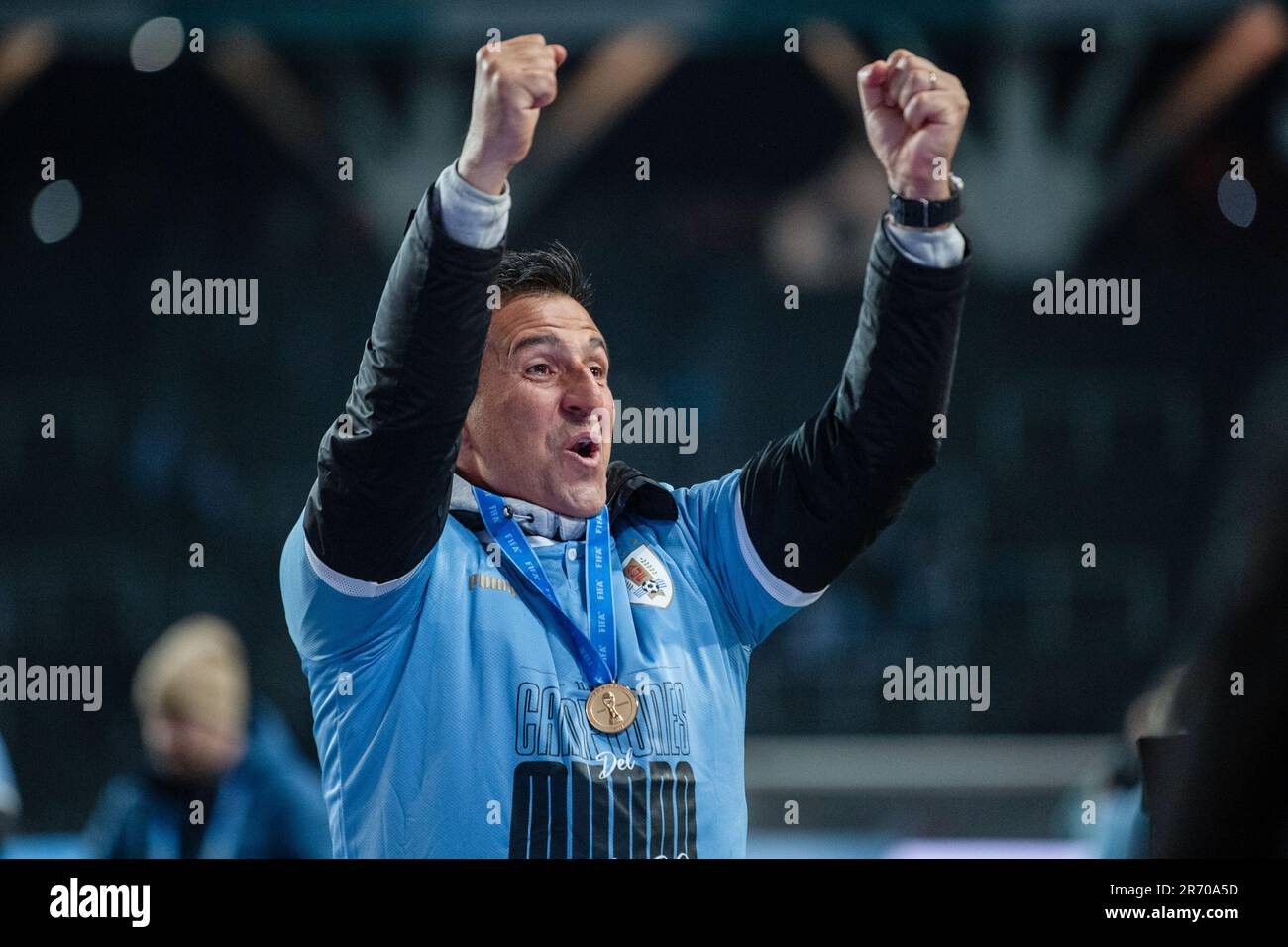 The Coaching Landscape for the Celeste The Coaching Landscape for the Celeste