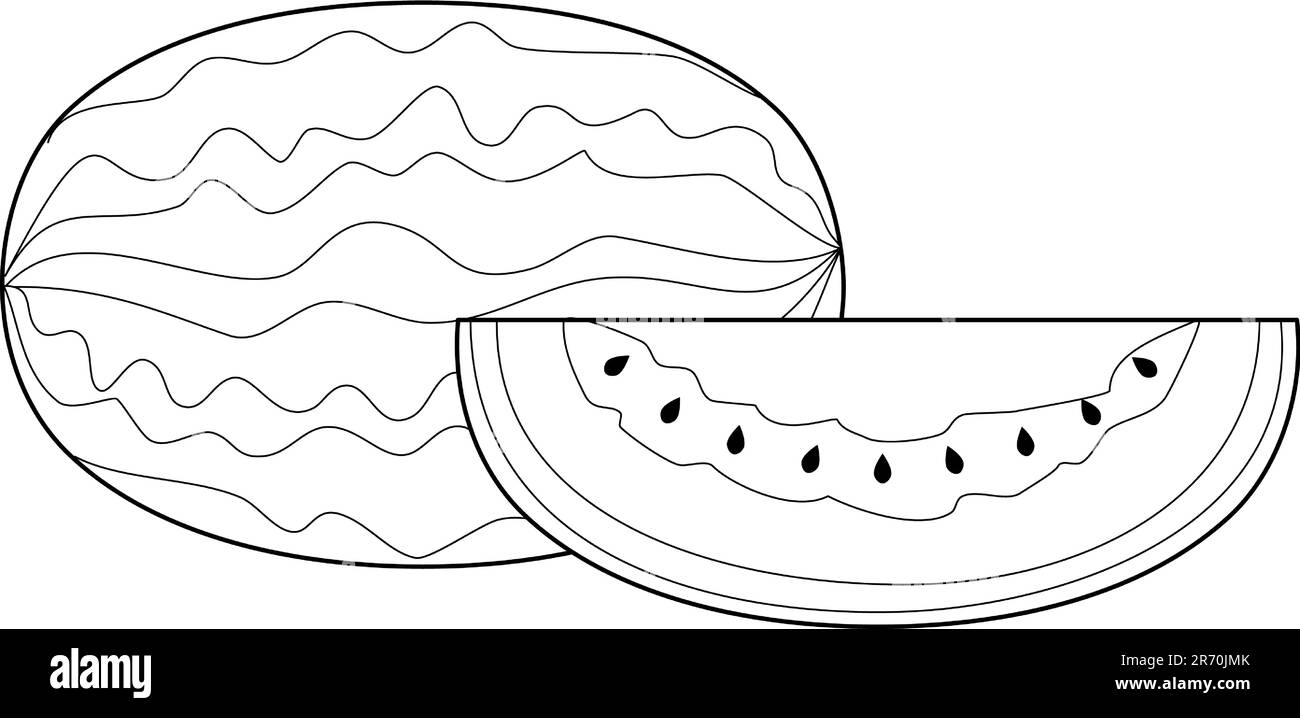 Schwarz-Weiß-Linienzeichnung einer ganzen Wassermelone und einer Scheibe Wassermelone Stock Vektor