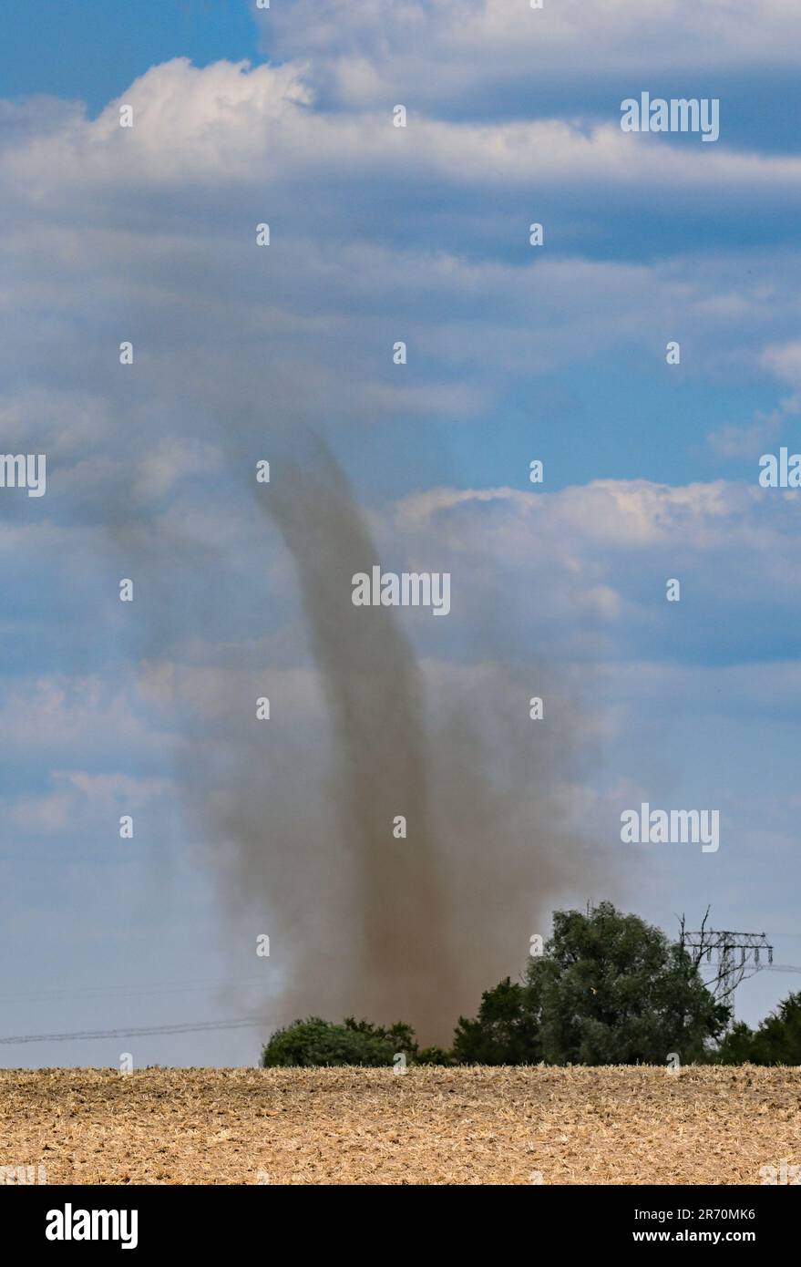 Jacobsdorf, Deutschland. 12. Juni 2023. Wie ein kleiner Wirbelwind zieht der Staub von einem trockenen Feld in den Himmel. Die obersten Bodenschichten sind an vielen Stellen staubtrocken, so ein landwirtschaftlicher Meteorologe des Deutschen Wetterdienstes (DWD). Dies gelte für große Teile des Nordens und Ostens, aber zum Teil auch für das nördliche Baden-Württemberg, Teile des Saarlandes, Franken und Oberpfalz, so er. An einigen Stationen waren die oberen Bodenschichten im August so trocken wie üblich. Kredit: Patrick Pleul/dpa/Alamy Live News Stockfoto