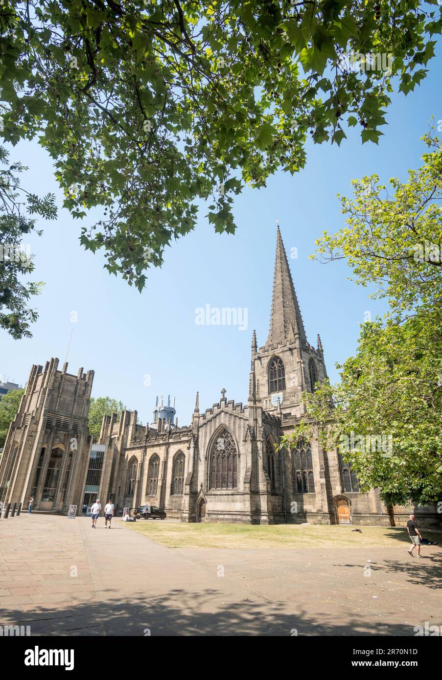 Die denkmalgeschützte Sheffield Cathedral, die Cathedral Church of St Peter and St Paul, Sheffield, Yorkshire, England, Großbritannien Stockfoto
