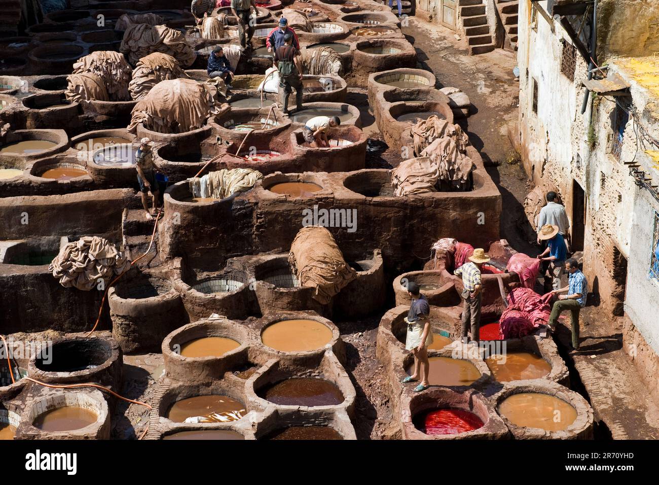 Marokko. Fes. Chouara Gerberei Stockfoto