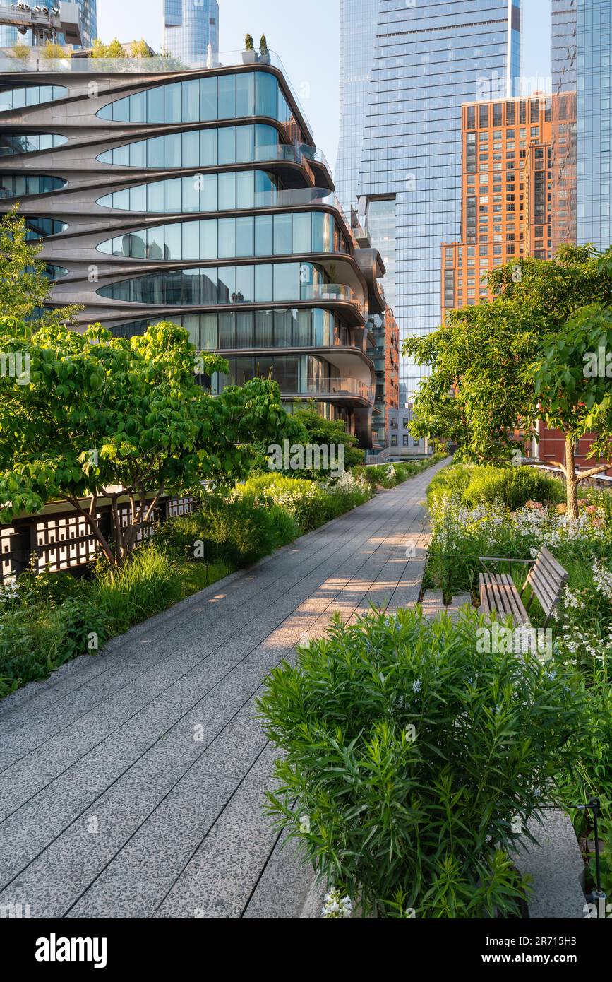 Die High Line Park Promenade im Sommer. Erhöhter Green Way in Chelsea, Manhattan. In New York City Stockfoto
