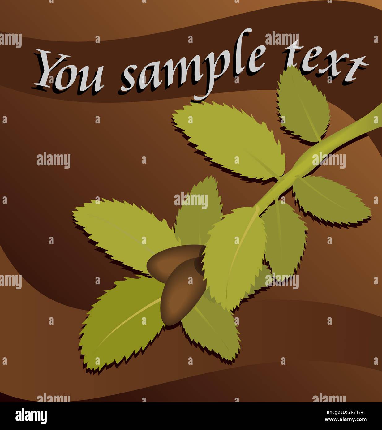 Grußkarte mit Zweig, Blättern und Nüssen. Vektor Stock Vektor