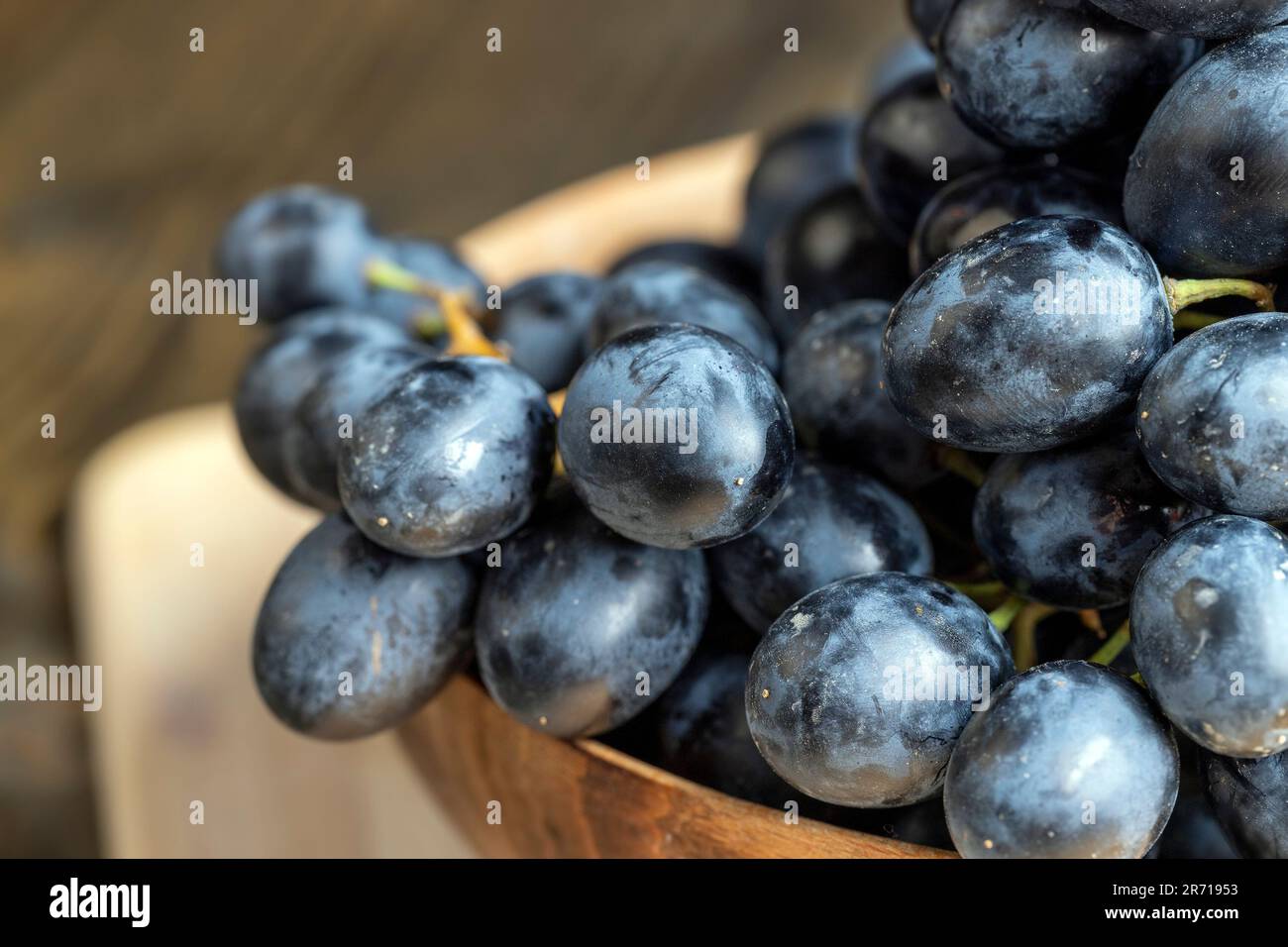 Blaue Trauben, die auf einem Weinberg angebaut wurden, und frische Trauben ungewaschen geerntet Stockfoto