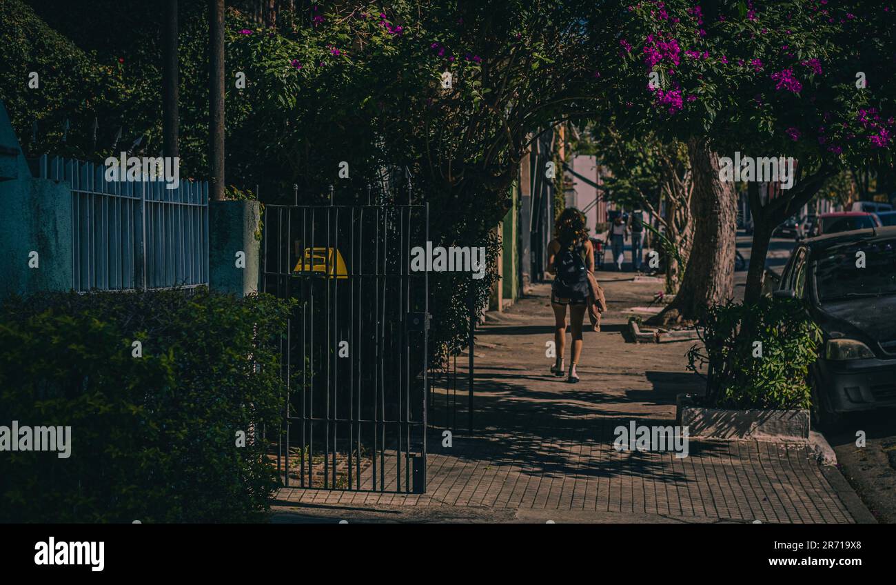 Entdecken Sie den rustikalen Charme von São Paulo: Ein Mädchen spaziert an einem hellen Samstagmorgen entlang des Blumenstegs und bewundert die alten Häuser Stockfoto