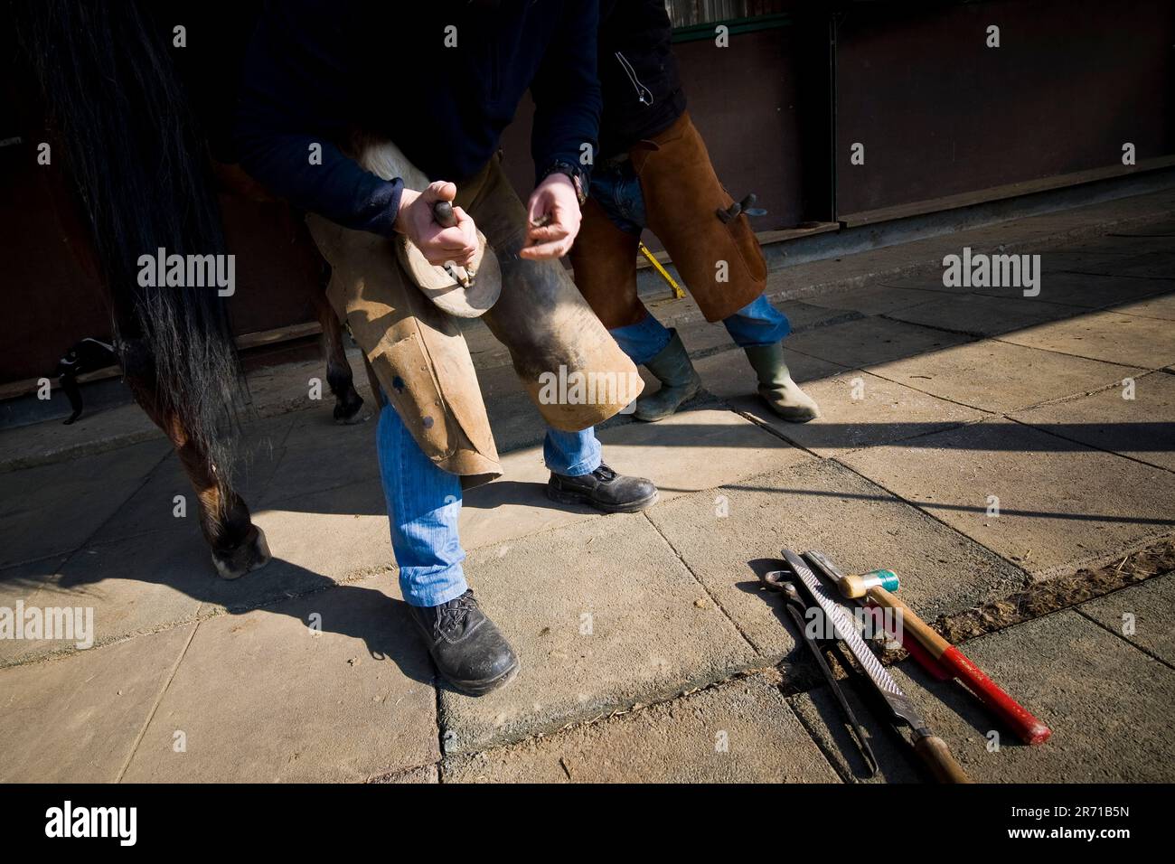 Cercere di bollate. Pferde reiten. Freiwilliger des Gefängnisdienstes Hufeisen Stockfoto