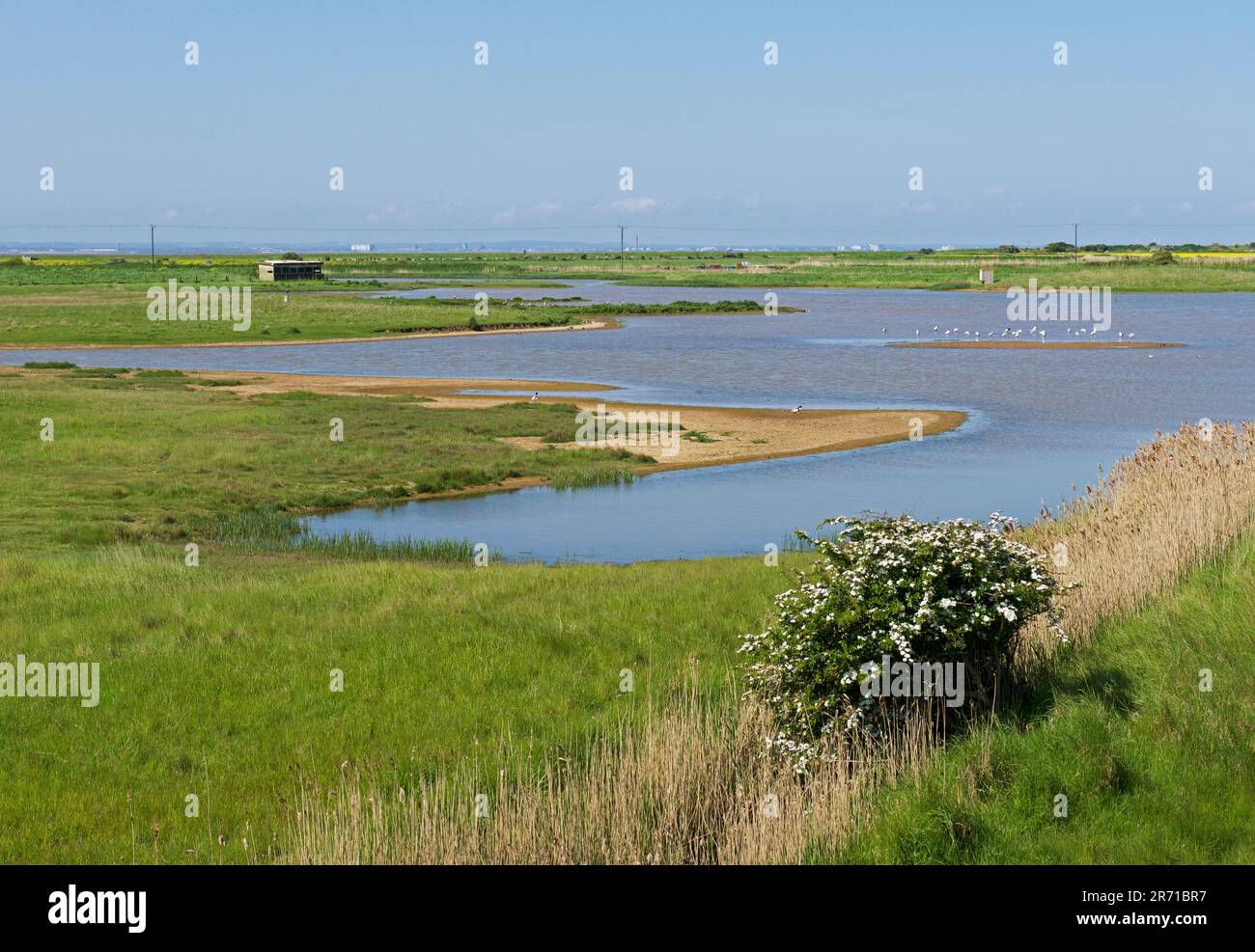 Kilnsea Wetlands, East Yorkshire, England, Großbritannien Stockfoto