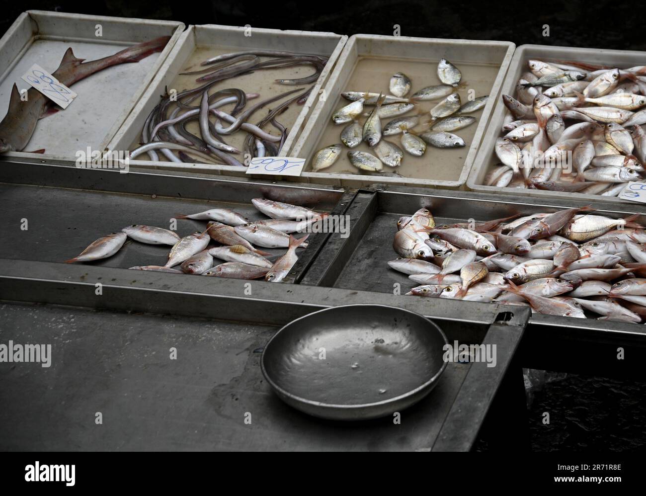 Frische Fischbank in der Pescheria di Catania der alte Fischmarkt auf der Piazza Alonzo di Benedetto in Catania Sizilien, Italien. Stockfoto