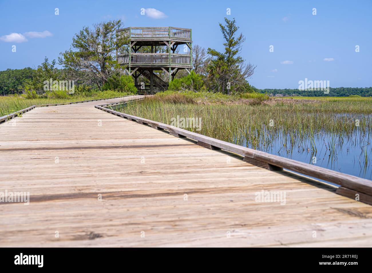 Die Promenade von Marsh und der Aussichtsturm Skidaway Narrows am Big Ferry Trail im Skidaway Island State Park in Savannah, Georgia. (USA) Stockfoto