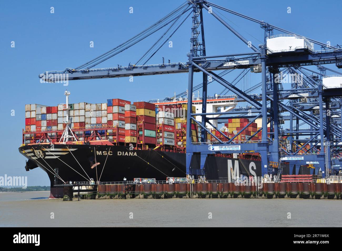 Containerschiff MSC Diana (ISO: 9755933) unter Kranen am Hafen von Felixstowe, Suffolk, England, Vereinigtes Königreich Stockfoto