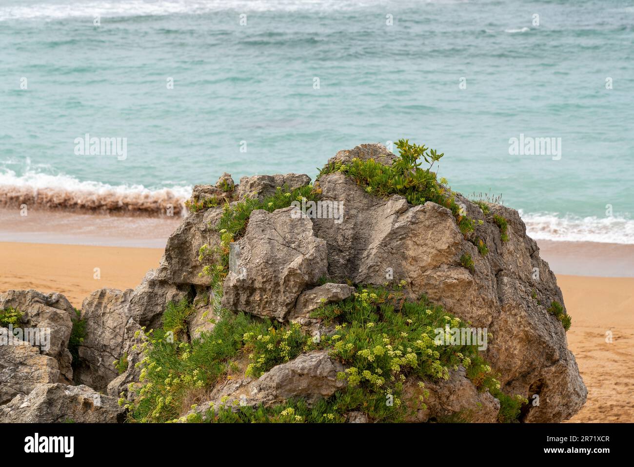Spektakuläre Landschaft in Kantabrien - Spanien. Hohe Klippen mit grüner Vegetation. Atlantik mit spektakulären Wasserfarben. Stockfoto