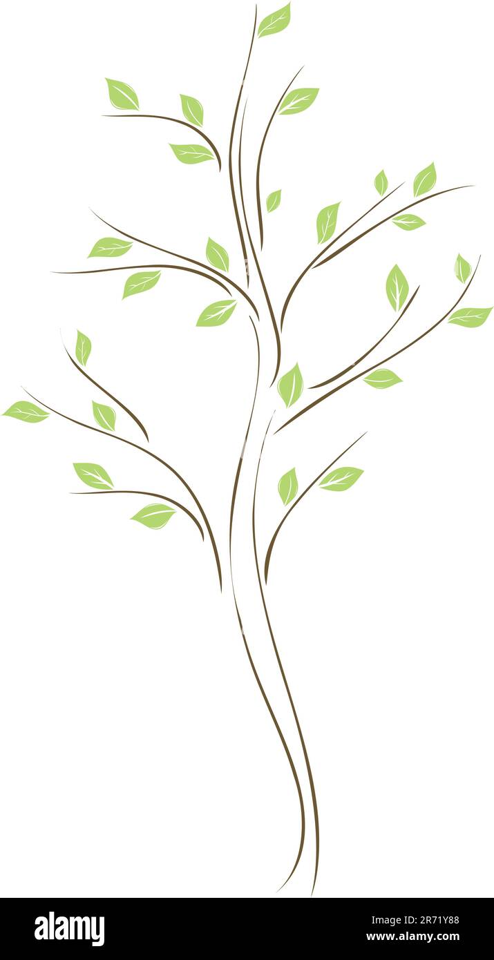 Baum mit grünen Blättern auf weißem Hintergrund Stock Vektor