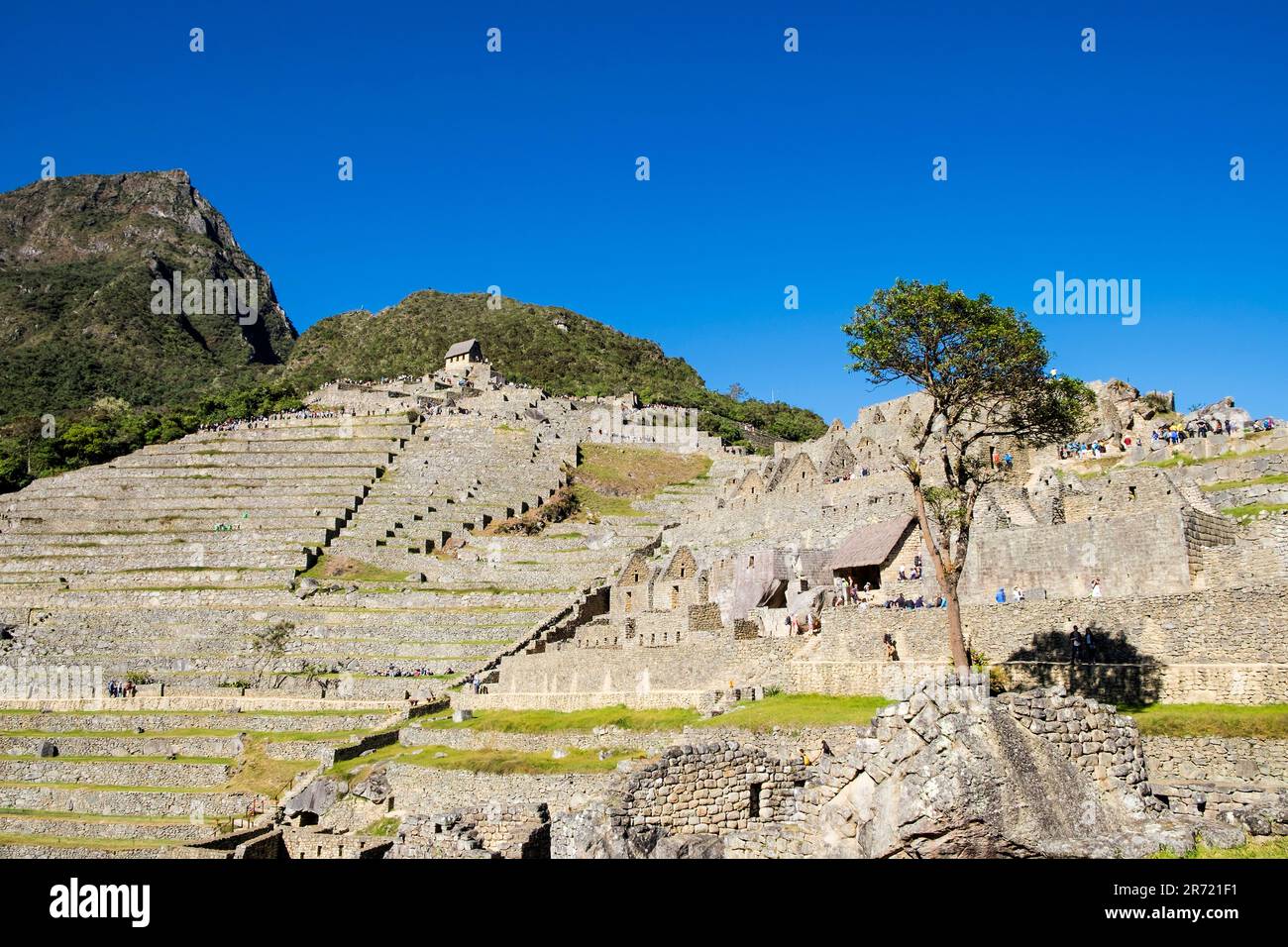 Peru. machu picchu. Ruinen der inka-Reichsstadt und berg huayna picchu im heiligen Tal Stockfoto