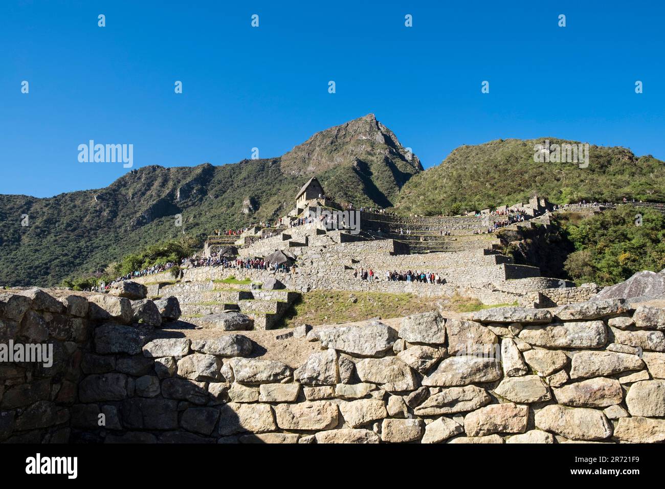 Peru. machu picchu. Ruinen der inka-Reichsstadt und berg huayna picchu im heiligen Tal Stockfoto